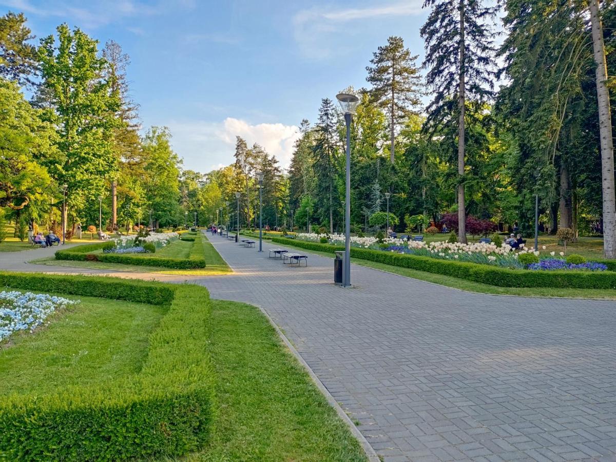Apartment Magic Dream Lux Vrnjacka Banja