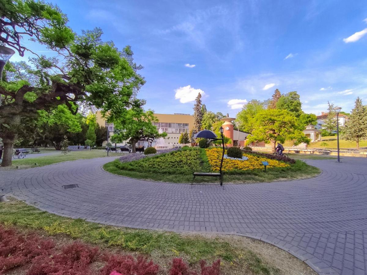 Magic Dream Lux Apartment Vrnjacka Banja